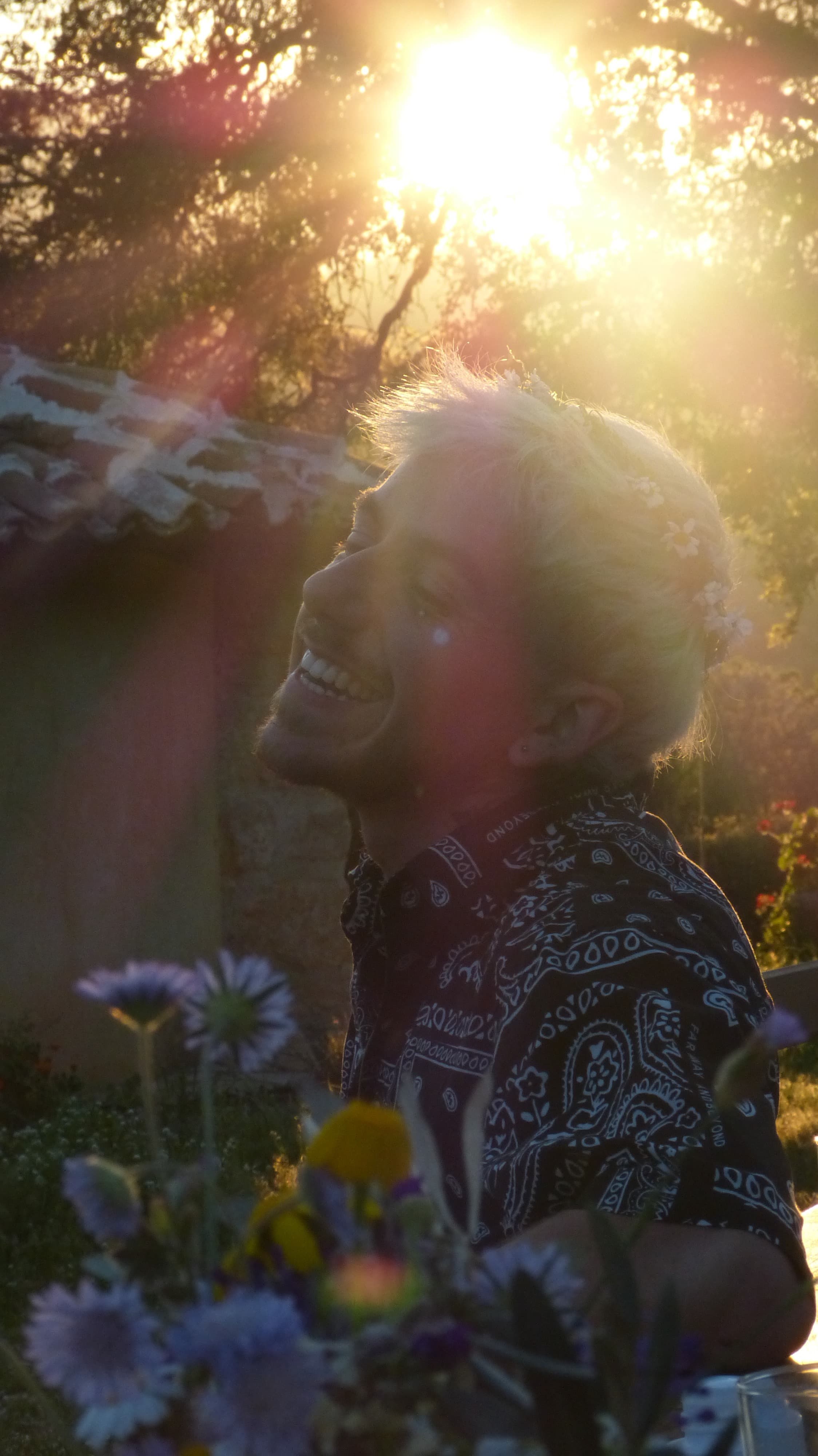 Rosam qui rit au soleil couchant